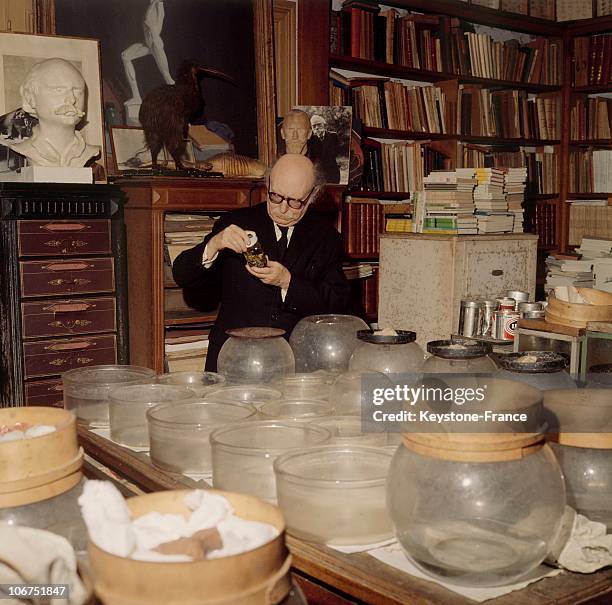 Fr Rostand 265 Jean Rostand Stock Photos, High-Res Pictures, and Images - Getty Images