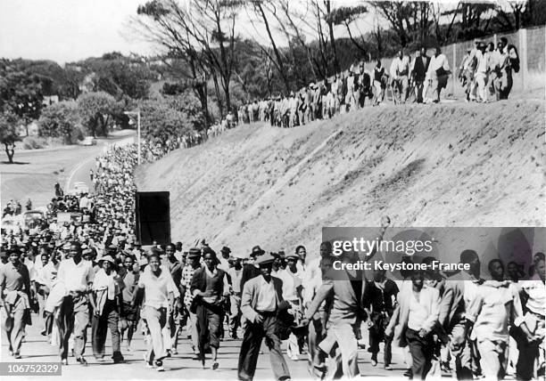 File Of Black South-Africans Marching Towards The Cap To Protest Against The System Of Interior Passports, Imposed On Blacks To Control Their Comings...