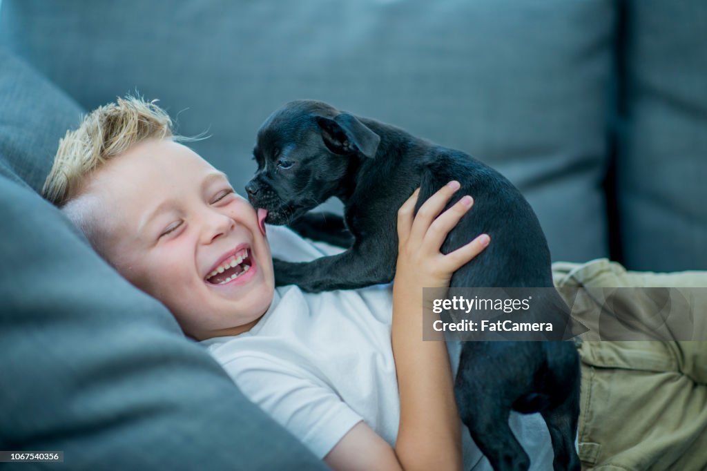 Boy playing with puppy