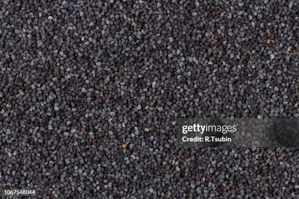 poppy seeds close up - poppy seed stock pictures, royalty-free photos & images