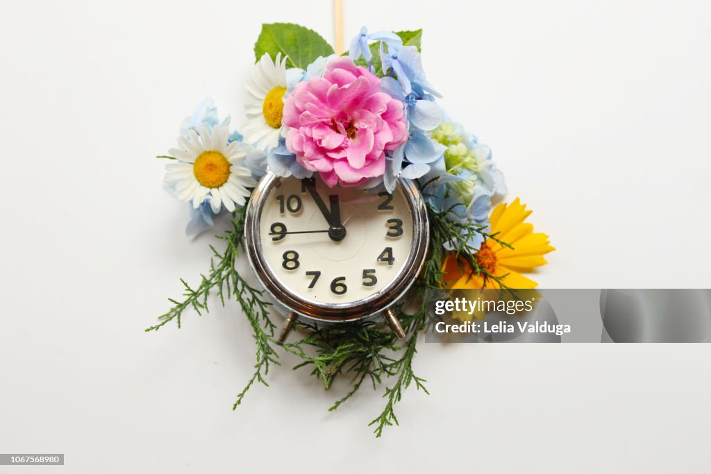 Spring and summer time clock - Conceptual Nature