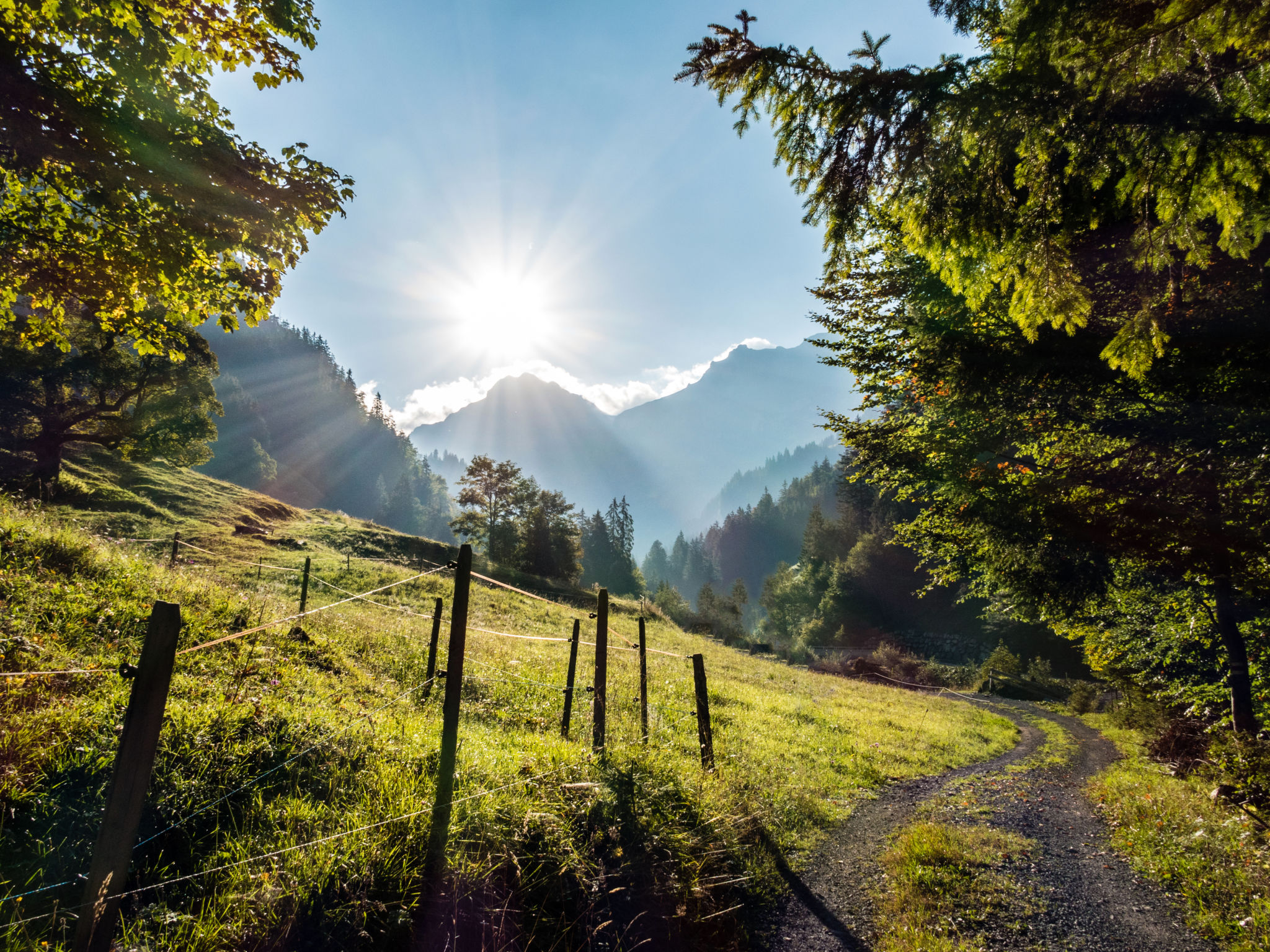 alpine recovery