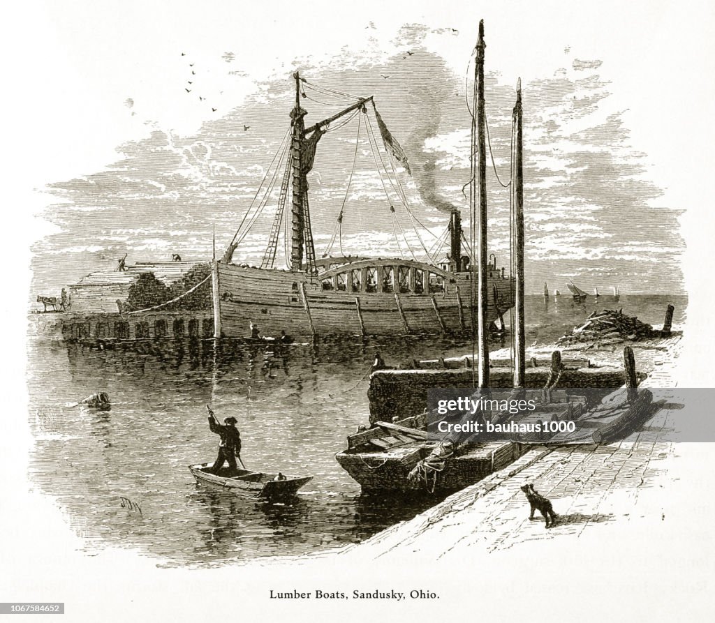 Lumber Boats, Sandusky, Ohio, United States, American Victorian Engraving, 1872