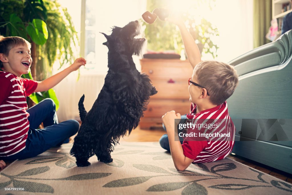 Two boys playing with their dog in the living room