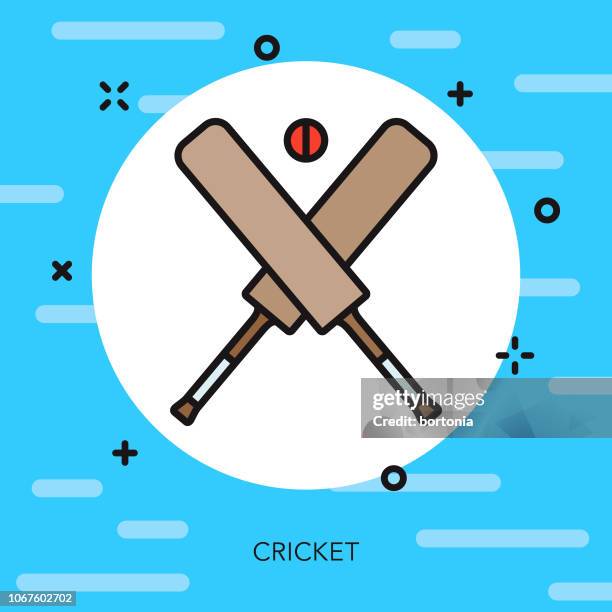 cricket thin line sports icon - cricket bat stock illustrations