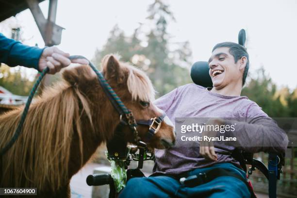 zuversichtlicher, junger mann im rollstuhl besucht therapie pferd - persons with disabilities stock-fotos und bilder
