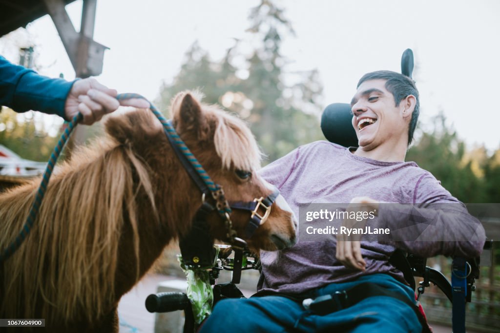Självsäker ung Man i rullstol besöker terapi häst
