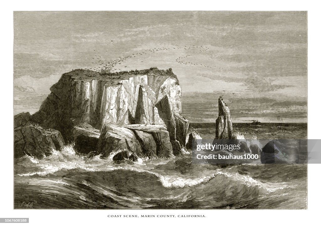 Coast Scene, Marin County, on the Coast of California, United States, American Victorian Engraving, 1872
