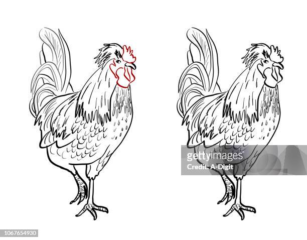 rooster on guard - rooster print stock illustrations