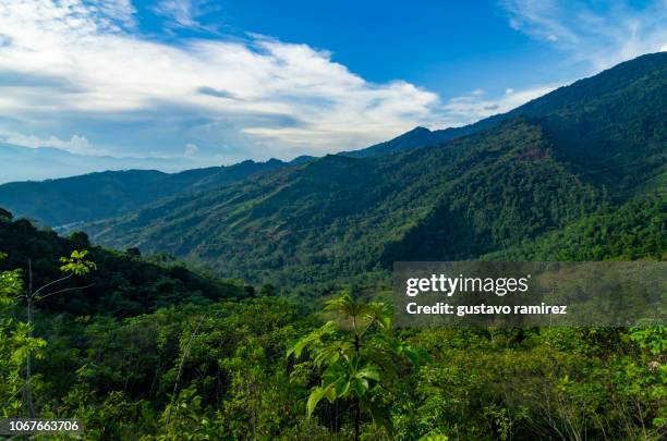 landscapes of the central jungle of peru in the city of ayacucho - paisajes de peru fotografías e imágenes de stock