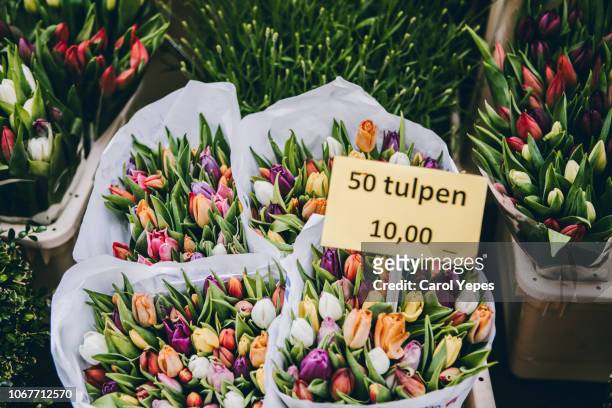 tulips for sale in netherlands - tulips amsterdam stock pictures, royalty-free photos & images