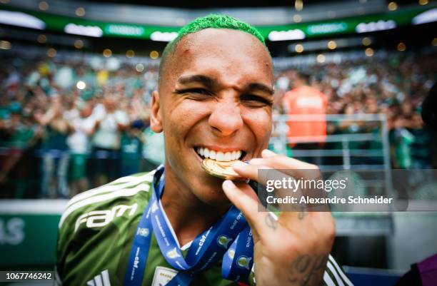 Deyverson of Palmeiras celebrates after winning the Brasileirao 2018 after the match against Vitora at Allianz Parque Stadium on December 02, 2018 in...