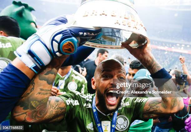 Felipe Melo of Palmeiras celebrates after winning the Brasileirao 2018 after the match against Vitora at Allianz Parque Stadium on December 02, 2018...