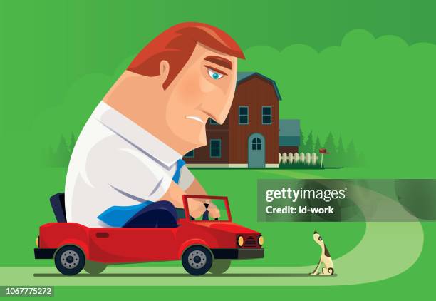 driver meeting dog while going home - driver fatigue stock illustrations