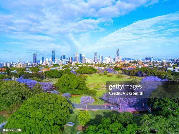 aerial view overlooking brisbane city australia - ジャカランダの木 ストックフォトと画像