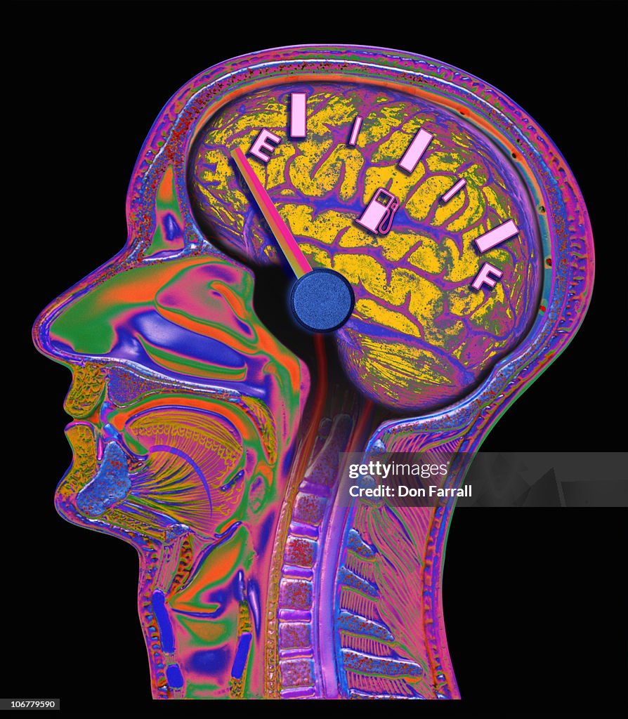 Check Engine Brain Picture Cross Section Of Male Brain Fuel Gauge On Empty High-Res Vector Graphic ...