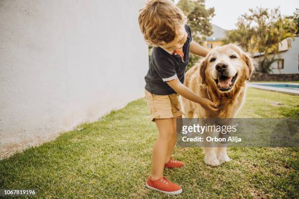 kleine jongen spelen met een hond - golden retriever stockfoto's en -beelden
