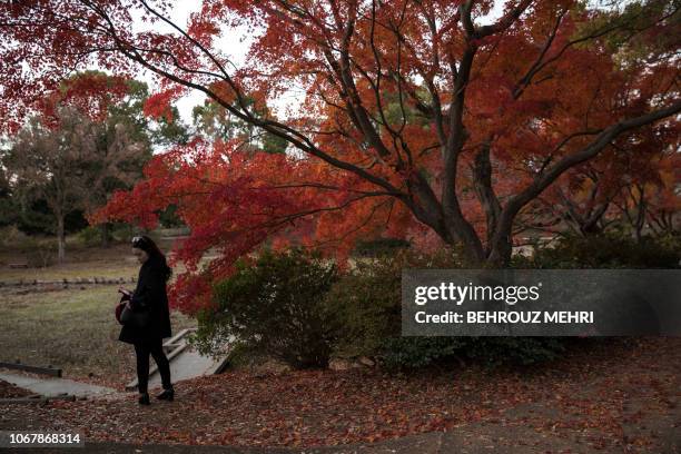 Woman checks her smartphone after taking pictures of momiji maple leaves at a park in Tokyo on December 1, 2018.