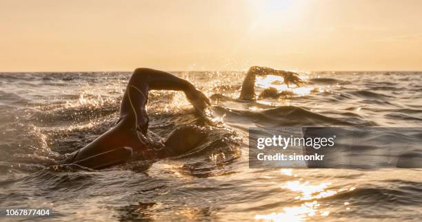 open water swimmers swimming front crawl at sea in sunshine - open water swimming stock pictures, royalty-free photos & images