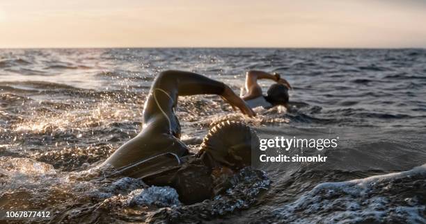 open water swimmers swimming front crawl at sea in sunshine - wetsuit stock pictures, royalty-free photos & images