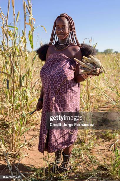 Portrait of a Himba woman with a bunch of millet on her hand while harvesting.