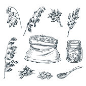 Oats cereal ears, grain in sack and porridge in glass jar. Vector sketch illustration. Hand drawn design elements