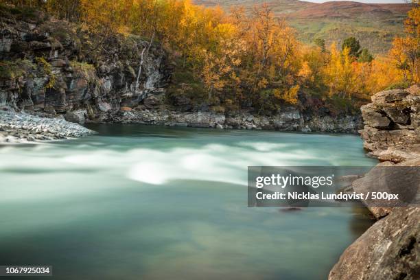 view of river with bushes on riverbank and cliff - lundqvist stock pictures, royalty-free photos & images