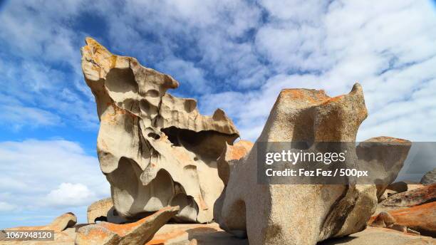 photo by: fez fez / 500px - kangaroo island stock pictures, royalty-free photos & images