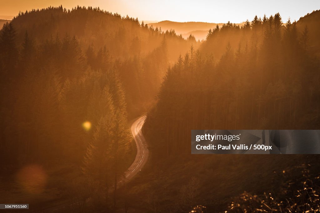 Highway in forest at sunset