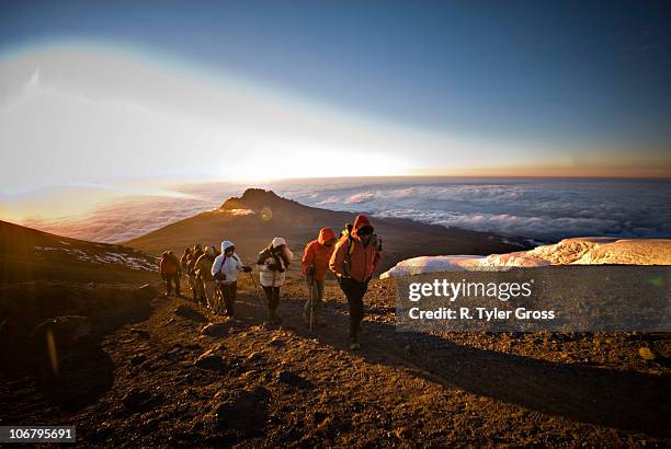 a team of hikers approach the summit of mt. kilimanjaro at sunrise after trekking six hours through the night. - kilimanjaro bildbanksfoton och bilder