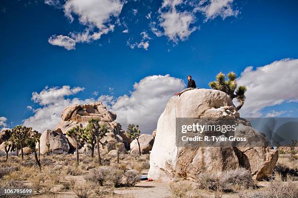 a young man sits on a lone bolder after climbing a route in joshua tree national park. - josuabaum stock-fotos und bilder