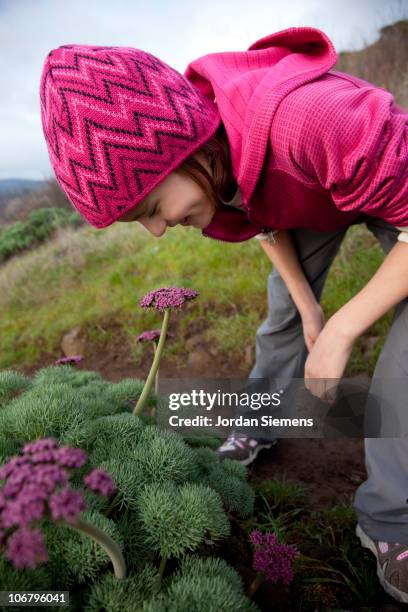 Scent Trail Photos and Premium High Res Pictures - Getty Images