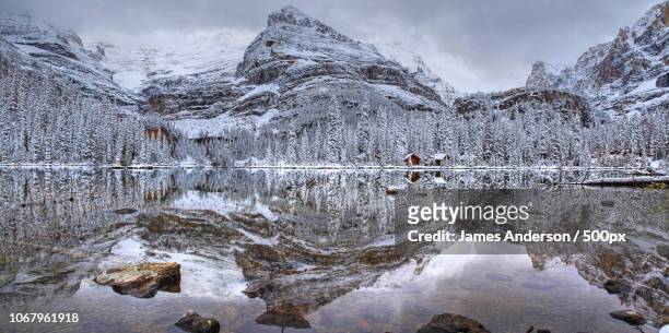 golden, canada - lago o'hara imagens e fotografias de stock