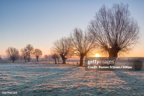 sunrise in winter - sneeuw nederland stockfoto's en -beelden