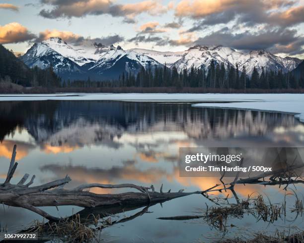 Landscape Of Lake Reflecting Snowcapped Mountains High-Res Stock Photo