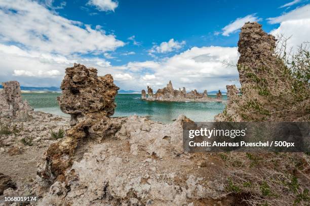 rock formations on shore of mono lake, california, usa - mono lake stock pictures, royalty-free photos & images