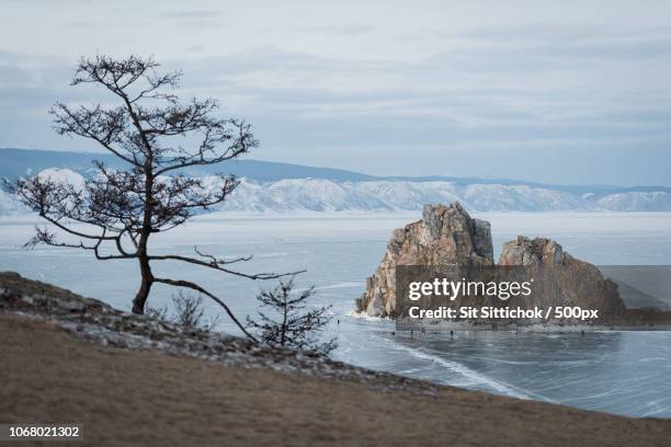 dried tree over frozen lake with rocky island - irkutsk stock pictures, royalty-free photos & images
