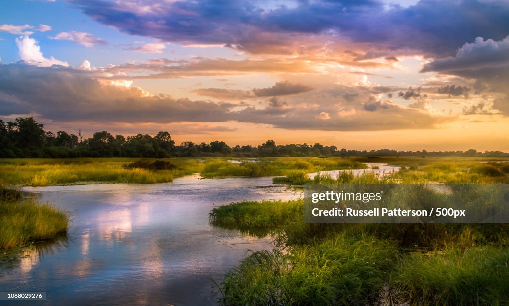 Scenic view of Okavango river at sunset