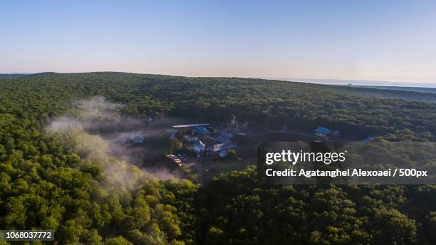 village surrounded by forest . - sweet home alabama stock pictures, royalty-free photos & images