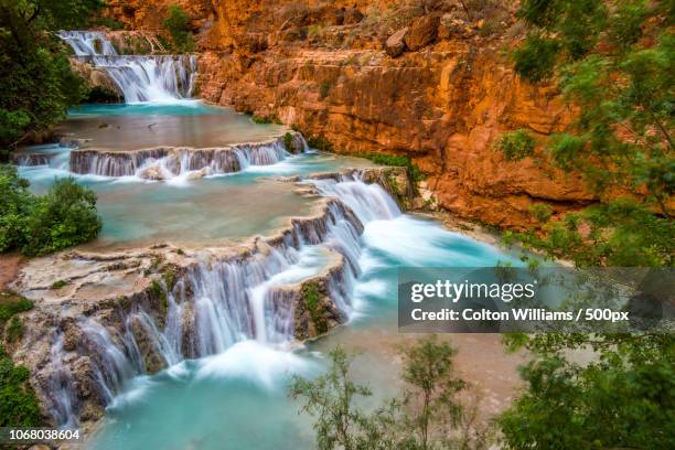 view of havasu falls, arizona, usa - havasu falls 個照片及圖片檔