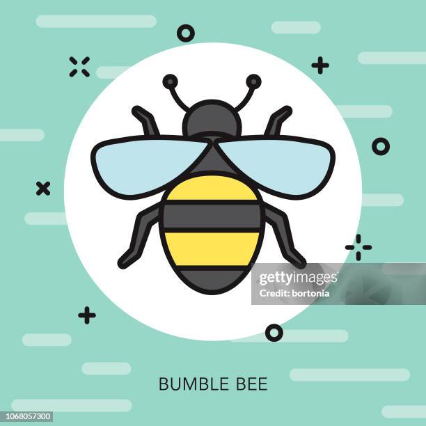 bumblebee thin line spring icon - bumblebee stock illustrations