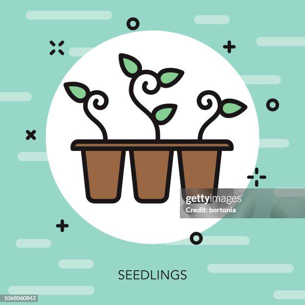 seedlings thin line spring icon - sprout icon stock illustrations