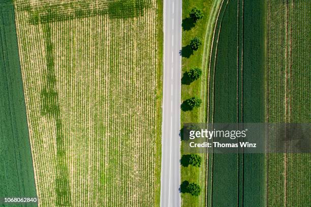 rural road and green fields - top view road stock pictures, royalty-free photos & images