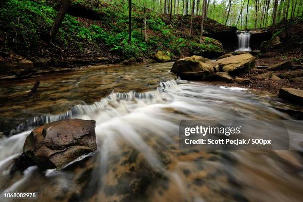 forest stream cascades - cuyahoga river stock pictures, royalty-free photos & images