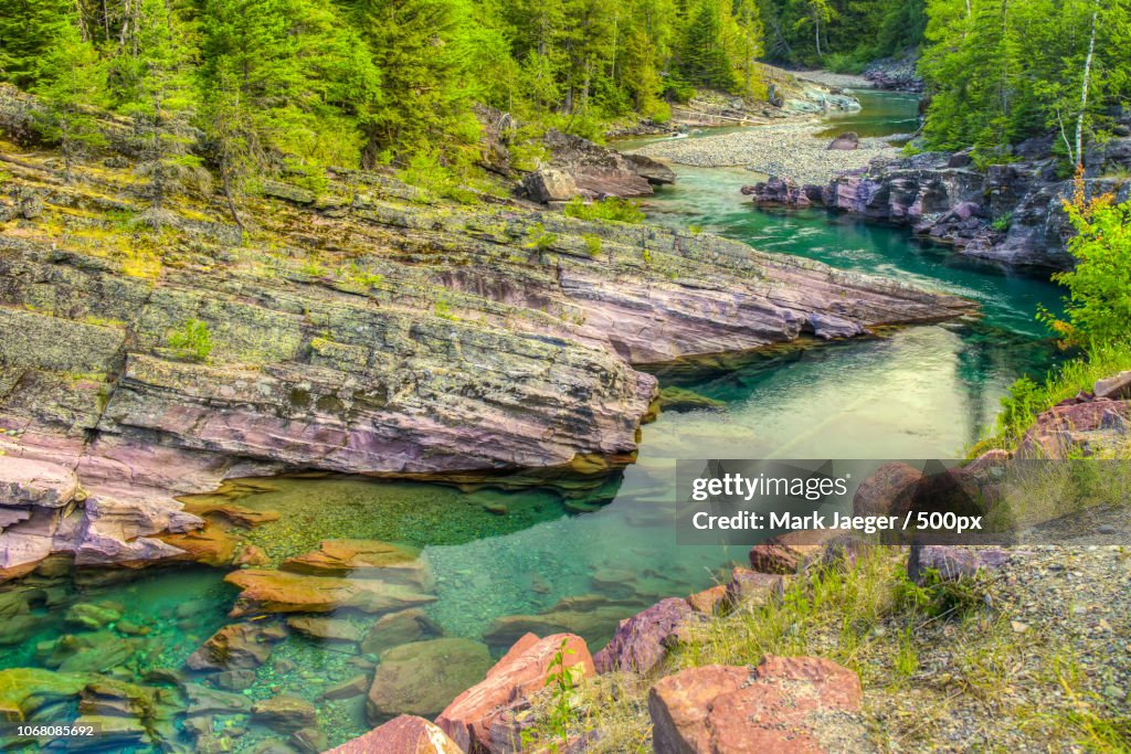 Blue river flowing through green forest