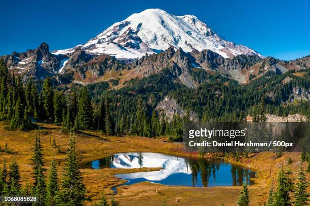 mountain peak above forest - mount rainier stock pictures, royalty-free photos & images