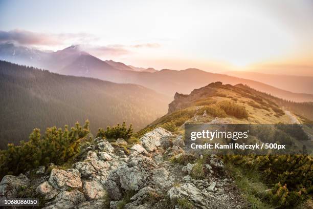 scenic view of tatra mountains at sunset - tatra stock-fotos und bilder