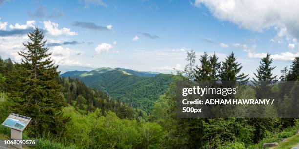 landscape with smoky mountain national park - newfound gap ストックフォトと画像