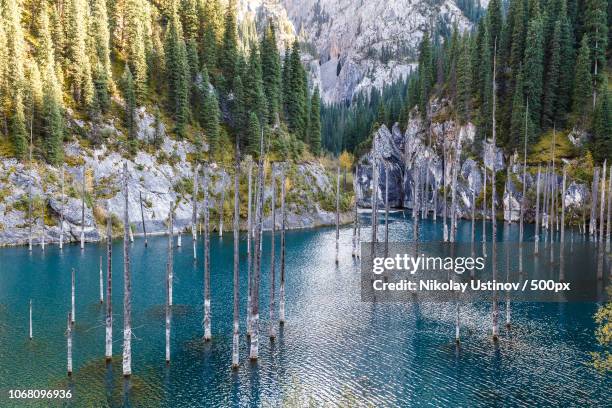 standing blue water with trees - almaty foto e immagini stock