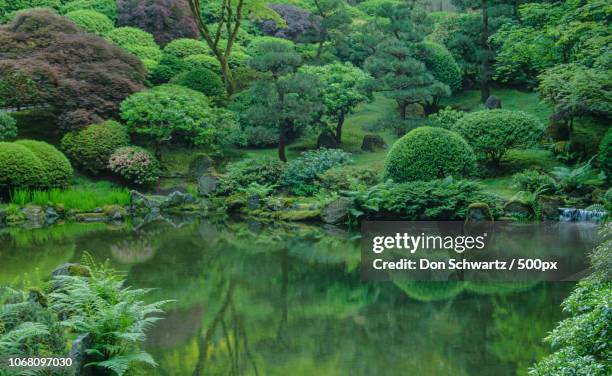 photo by: don schwartz / 500px - jardín japonés fotografías e imágenes de stock
